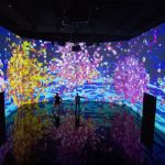 Virtual outdoor art installations tours